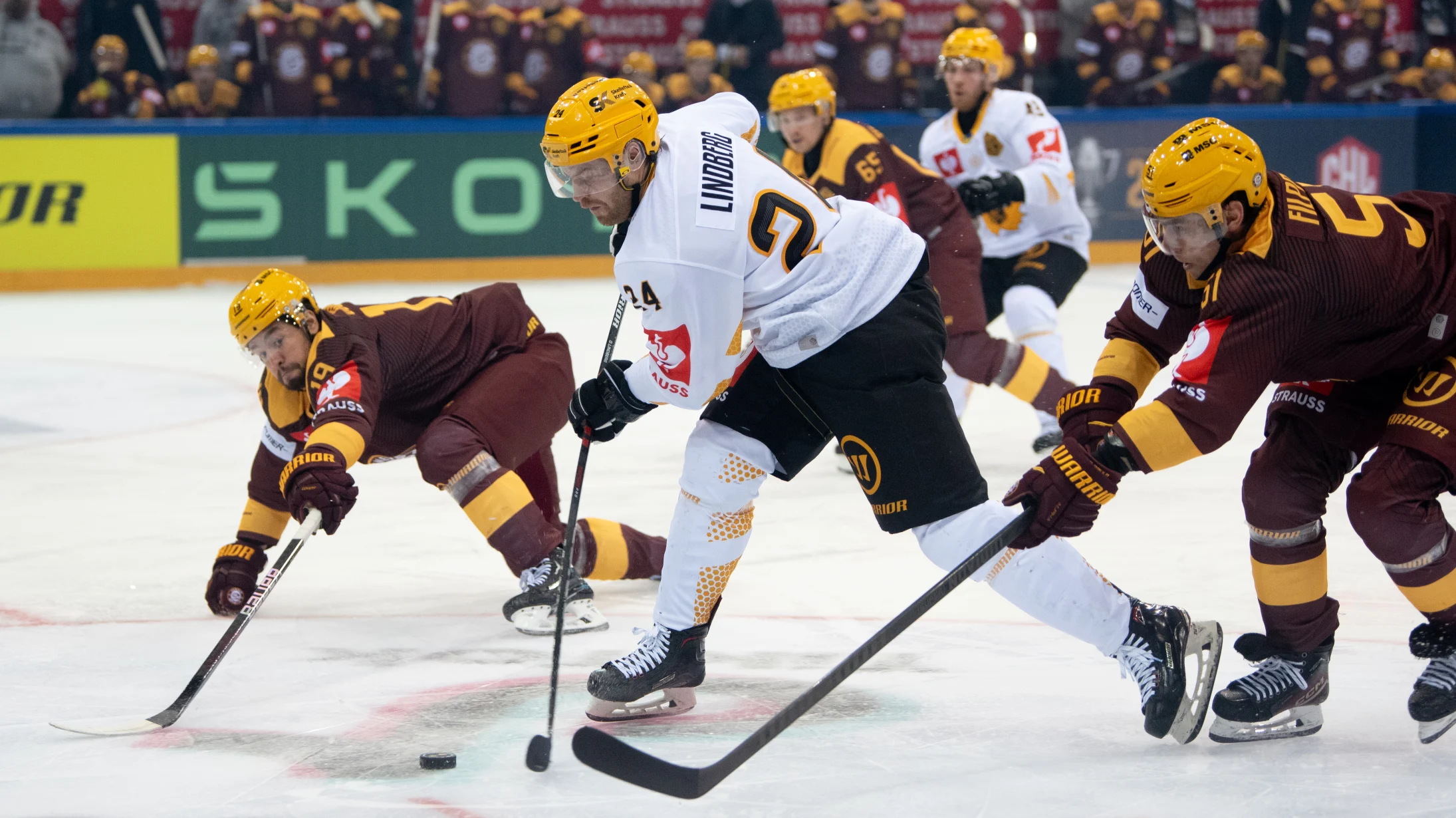 GENÈVE-SERVETTE GEWINNT DAS FINALE 2024 UND HOLT SICH DIE EUROPÄISCHE TROPHÄE IN DER SCHWEIZ!